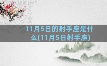 11月5日的射手座是什么(11月5日射手座)