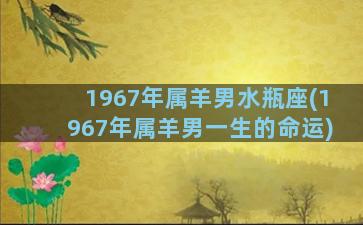 1967年属羊男水瓶座(1967年属羊男一生的命运)