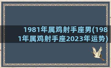 1981年属鸡射手座男(1981年属鸡射手座2023年运势)