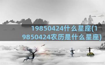 19850424什么星座(19850424农历是什么星座)