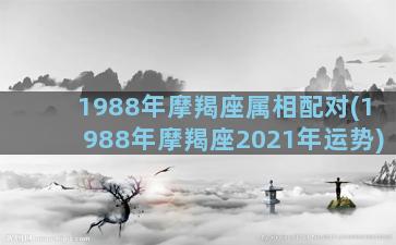 1988年摩羯座属相配对(1988年摩羯座2021年运势)