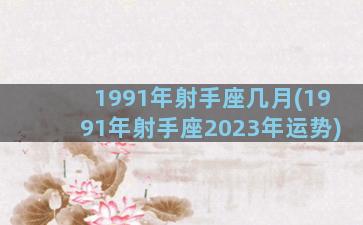 1991年射手座几月(1991年射手座2023年运势)