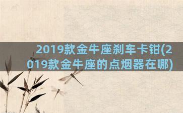 2019款金牛座刹车卡钳(2019款金牛座的点烟器在哪)