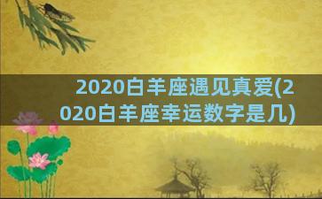 2020白羊座遇见真爱(2020白羊座幸运数字是几)