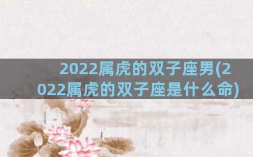 2022属虎的双子座男(2022属虎的双子座是什么命)