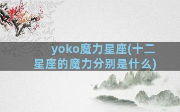 yoko魔力星座(十二星座的魔力分别是什么)