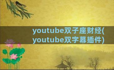 youtube双子座财经(youtube双字幕插件)