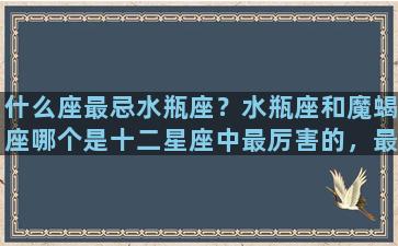 什么座最忌水瓶座？水瓶座和魔蝎座哪个是十二星座中最厉害的，最可怕的