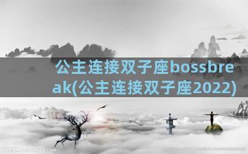 公主连接双子座bossbreak(公主连接双子座2022)