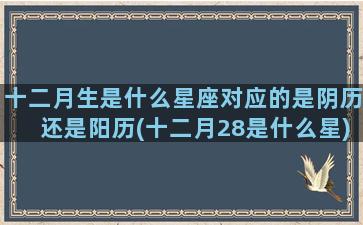 十二月生是什么星座对应的是阴历还是阳历(十二月28是什么星)