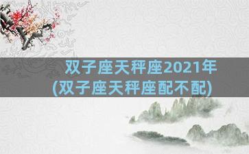 双子座天秤座2021年(双子座天秤座配不配)