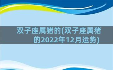 双子座属猪的(双子座属猪的2022年12月运势)