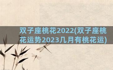 双子座桃花2022(双子座桃花运势2023几月有桃花运)