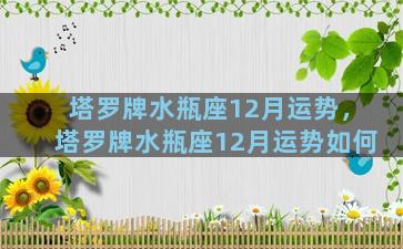 塔罗牌水瓶座12月运势，塔罗牌水瓶座12月运势如何