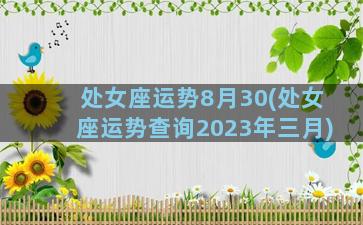 处女座运势8月30(处女座运势查询2023年三月)