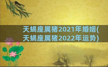 天蝎座属猪2021年婚姻(天蝎座属猪2022年运势)