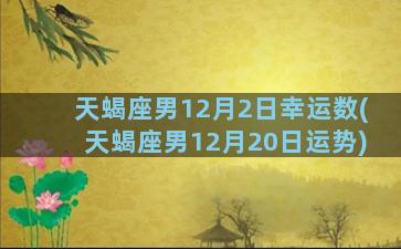 天蝎座男12月2日幸运数(天蝎座男12月20日运势)