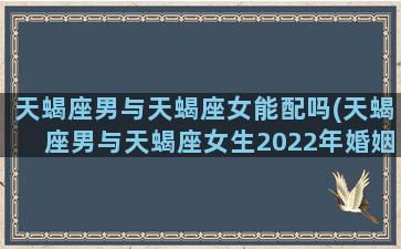 天蝎座男与天蝎座女能配吗(天蝎座男与天蝎座女生2022年婚姻感情)