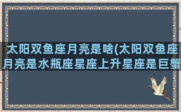 太阳双鱼座月亮是啥(太阳双鱼座月亮是水瓶座星座上升星座是巨蟹)