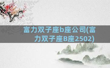 富力双子座b座公司(富力双子座B座2502)