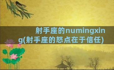 射手座的numingxing(射手座的怒点在于信任)