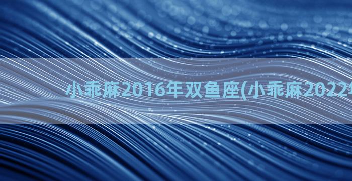 小乖麻2016年双鱼座(小乖麻2022年运势)