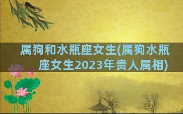 属狗和水瓶座女生(属狗水瓶座女生2023年贵人属相)