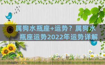 属狗水瓶座+运势？属狗水瓶座运势2022年运势详解