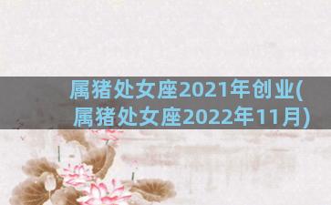 属猪处女座2021年创业(属猪处女座2022年11月)