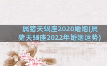 属猪天蝎座2020婚姻(属猪天蝎座2022年婚姻运势)