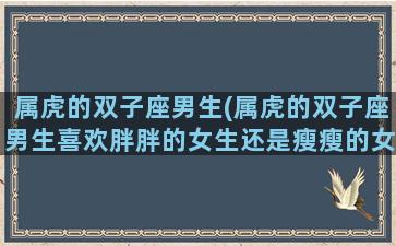 属虎的双子座男生(属虎的双子座男生喜欢胖胖的女生还是瘦瘦的女生)