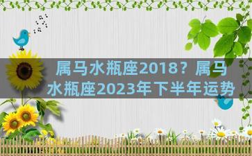 属马水瓶座2018？属马水瓶座2023年下半年运势