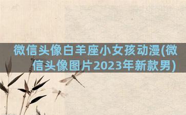 微信头像白羊座小女孩动漫(微信头像图片2023年新款男)