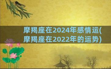 摩羯座在2024年感情运(摩羯座在2022年的运势)