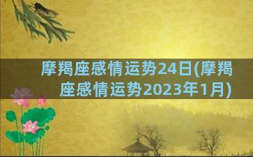 摩羯座感情运势24日(摩羯座感情运势2023年1月)