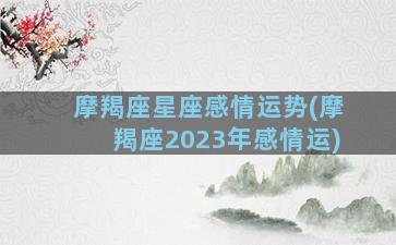 摩羯座星座感情运势(摩羯座2023年感情运)