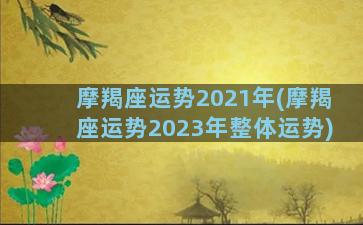 摩羯座运势2021年(摩羯座运势2023年整体运势)