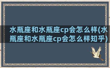 水瓶座和水瓶座cp会怎么样(水瓶座和水瓶座cp会怎么样知乎)