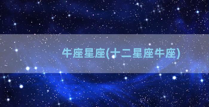 牛座星座(十二星座牛座)