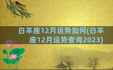 白羊座12月运势如何(白羊座12月运势查询2023)