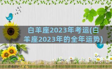 白羊座2023年考运(白羊座2023年的全年运势)