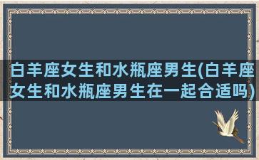 白羊座女生和水瓶座男生(白羊座女生和水瓶座男生在一起合适吗)