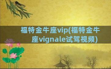 福特金牛座vip(福特金牛座vignale试驾视频)