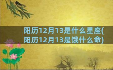 阳历12月13是什么星座(阳历12月13是饿什么命)